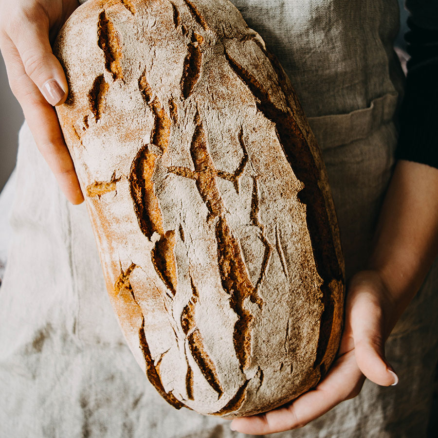 BÖCKER Sauerteig Starter Roggen 
